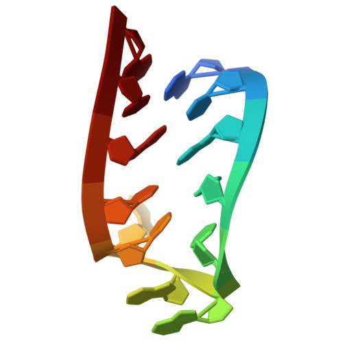 Rcsb Pdb 1hs1 Solution Structure Of Rna Hairpin Loop Uuaacu As Part