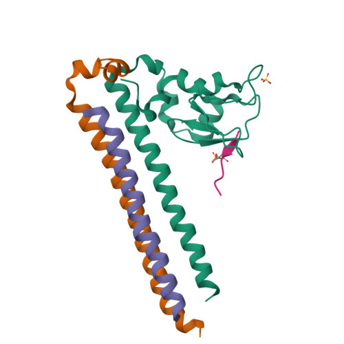 Rcsb Pdb 3ajb Crystal Structure Of Human Pex3p In Complex With N