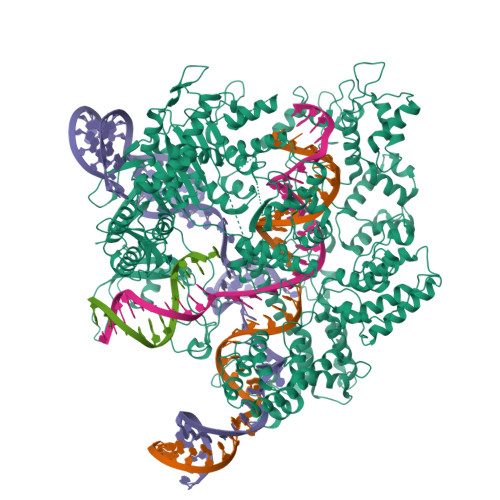 Rcsb Pdb 8f8y Phf2 Phd Jmj In Complex With Vrk1 N Terminal Peptide