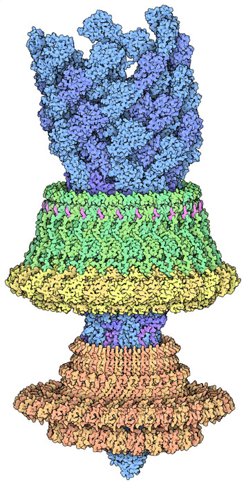 Pdb 101 Molecule Of The Month Fifty Years Of Open Access To Pdb