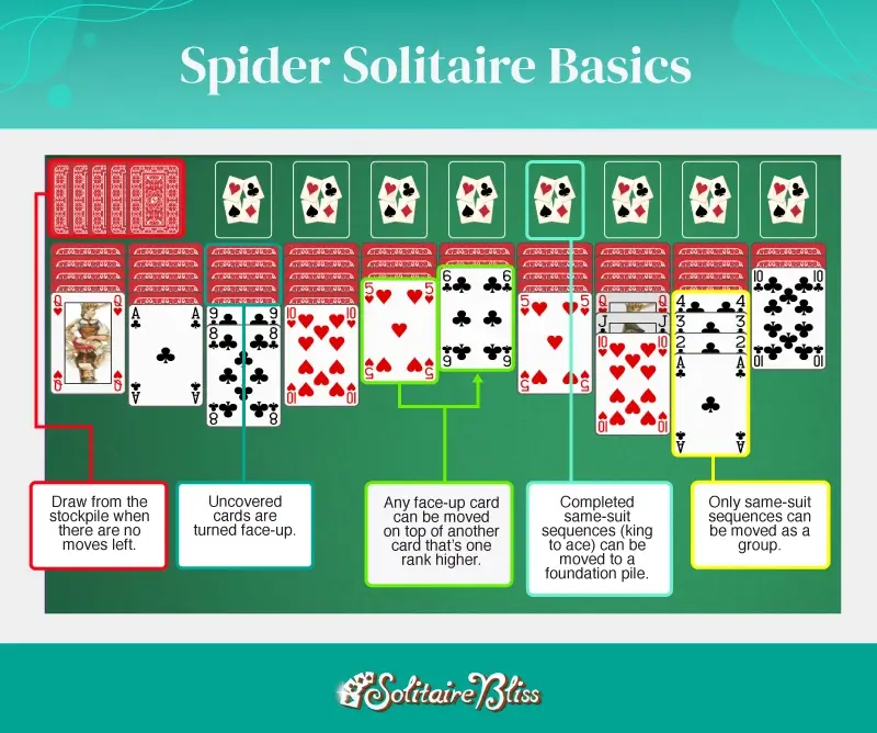 Play Solitaire Spider Free