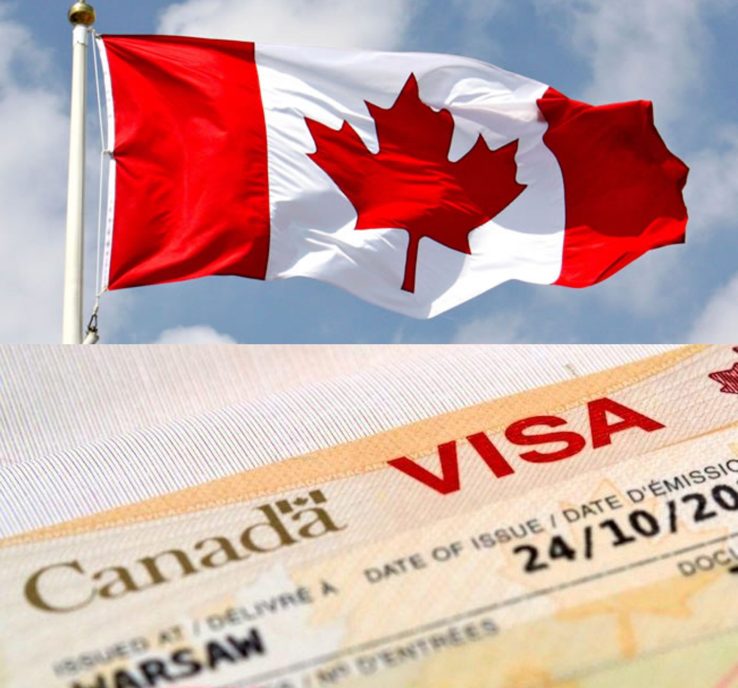 Immigrate To Canada By Investment Program Businessincanada