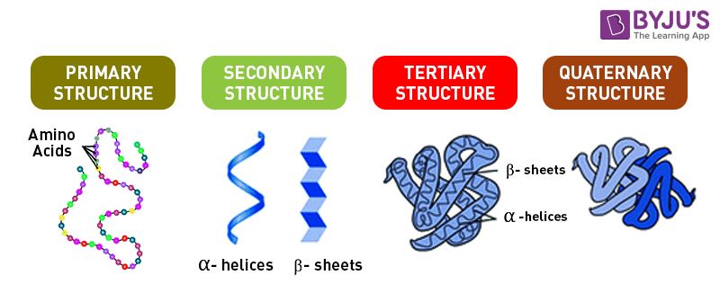 Proteins That Were Identified By Mass Spectrometry Cf Figure 2b