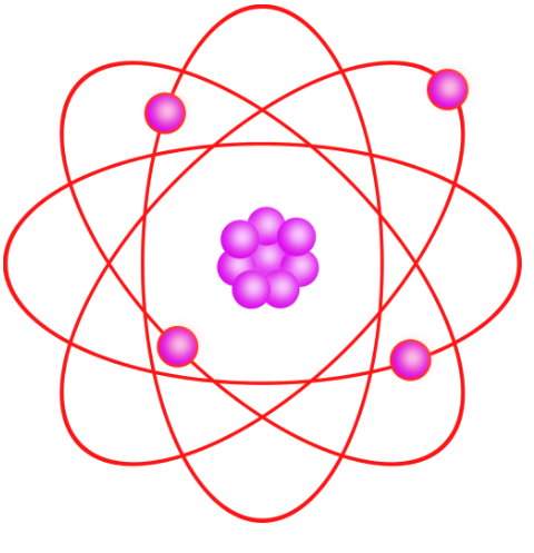 Electron Microscopic Photograph Of L4 Dorsal Root Ganglion Neurons Of