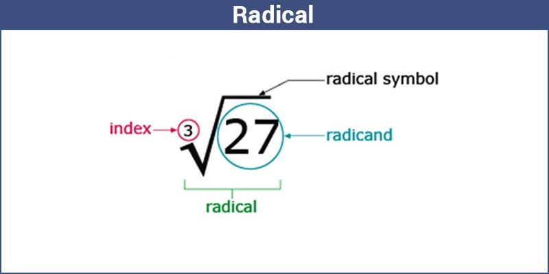 Radical Functions Unit 6 Algebra Curriculum And Student Workbook