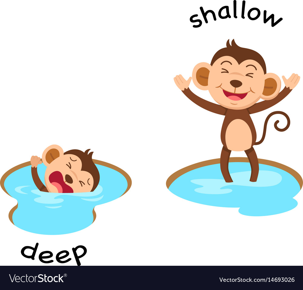 Shallow Versus Deep Learning Pipeline Download Scientific Diagram