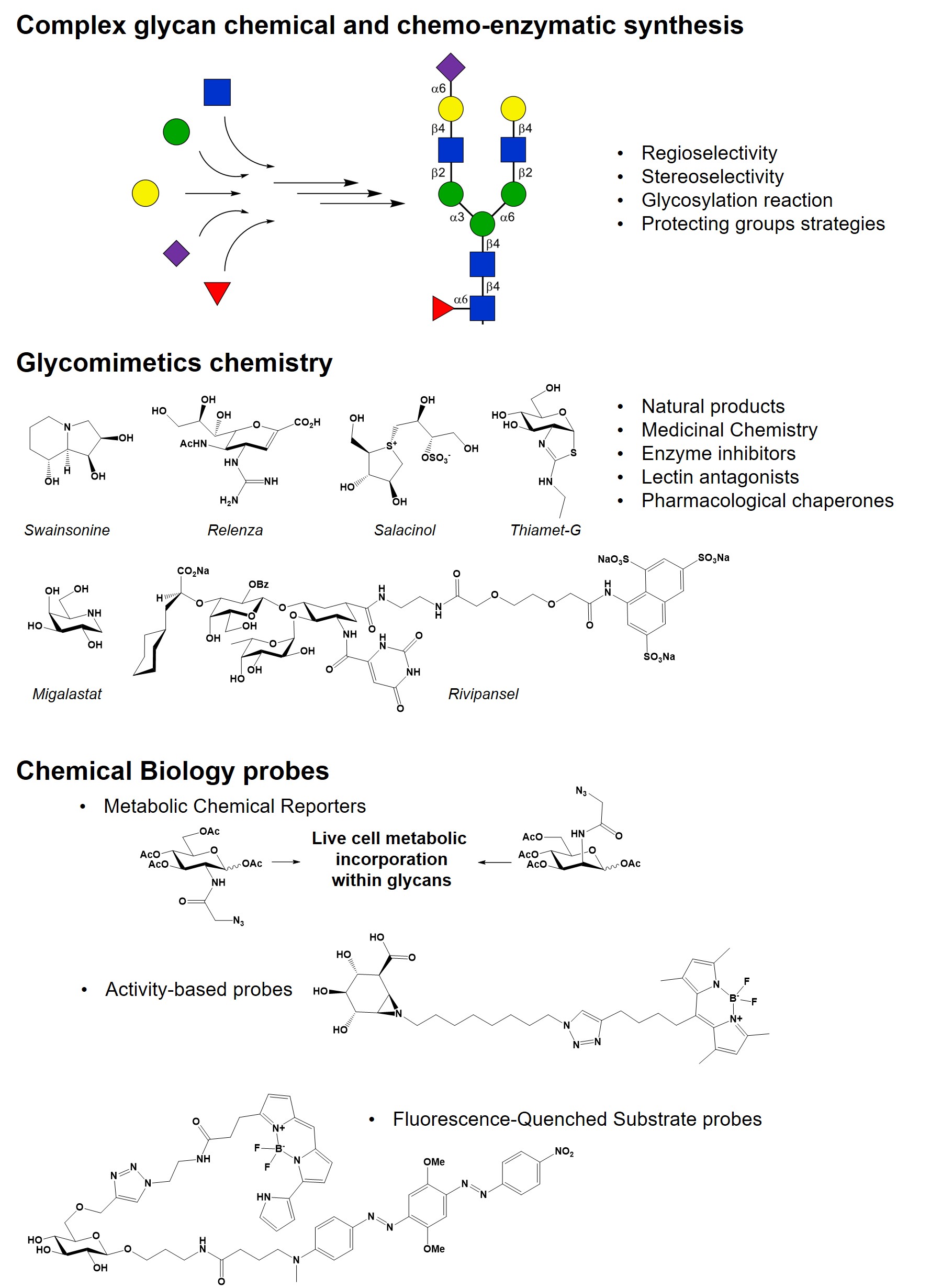 Department Of Biochemistry Glyco Science World