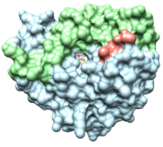Chembites Page 13 Distilling Complex Chemistry Into Simple Bites