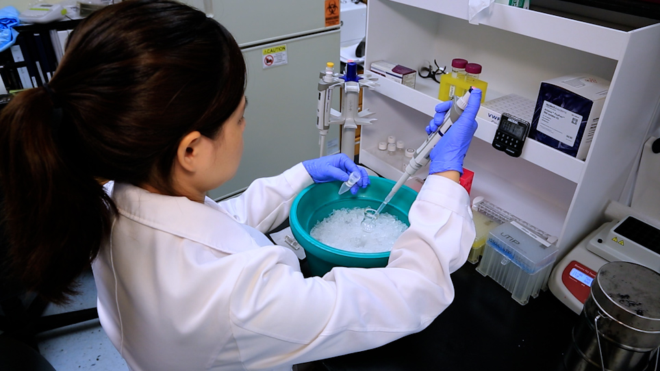 Invitrogen Rnalater Ice Frozen Tissue Transition Solutionmolecular