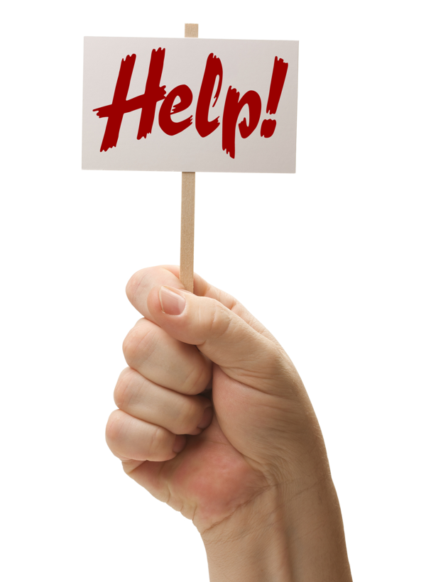 Can You Help Me Identify The N Terminal And Rbd Chegg Com