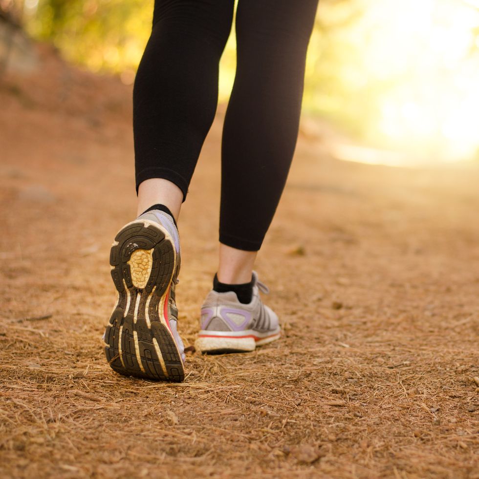 Concept Walk The Basic Idea Of Autopoietic Systems