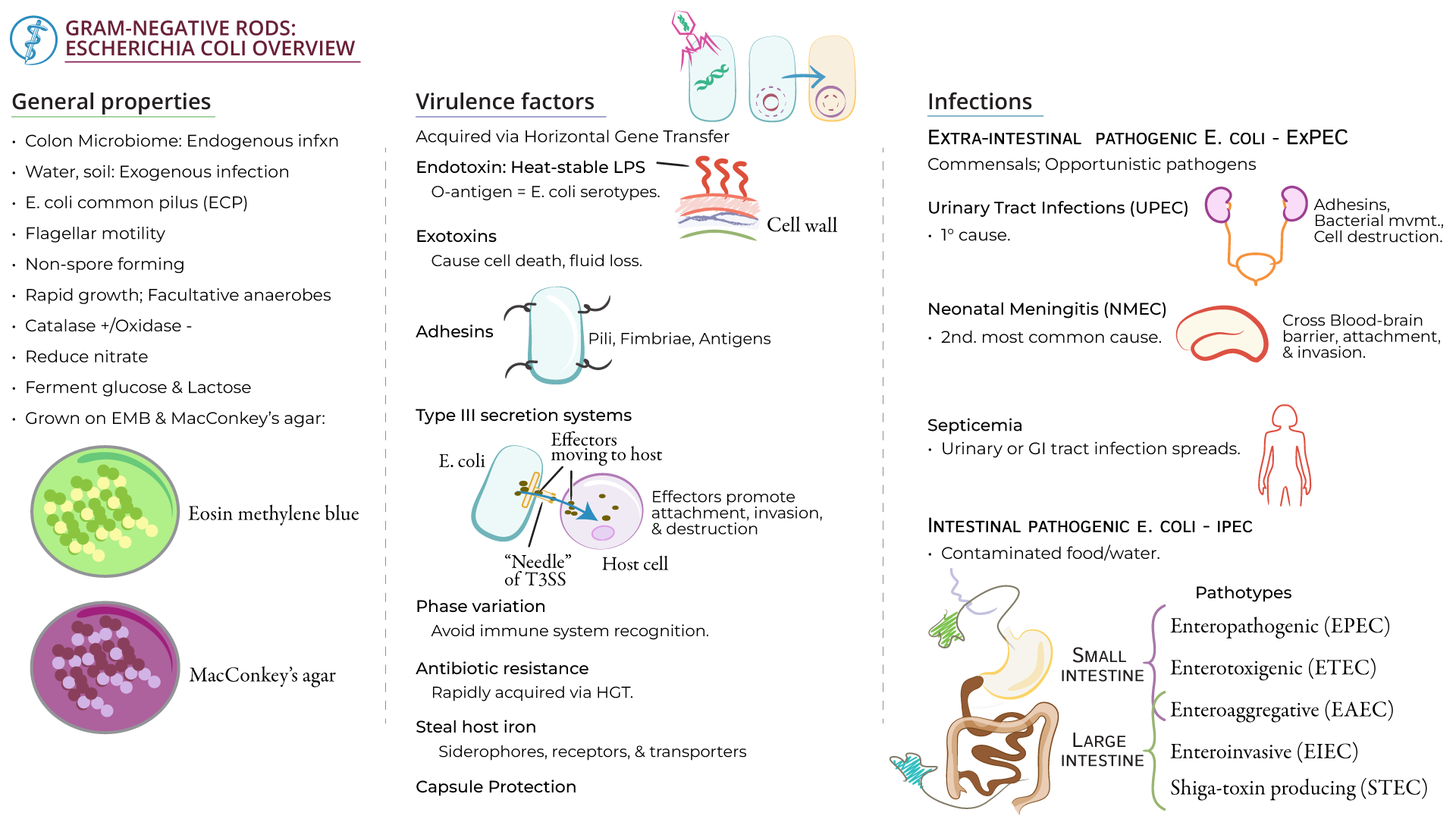 Organic Chemistry Drills Orbitals Ditki Medical Biological Sciences