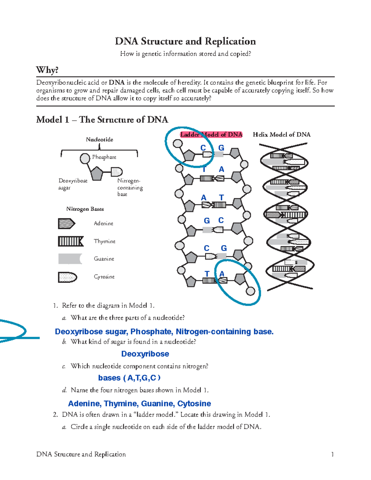 Comparison Of A Dna And Z Dna Properties A Schematic Strategy For