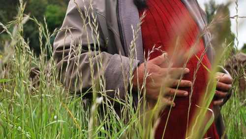 Chirapaq Pide Incrementar El Presupuesto Para Chirapaq Org Pe