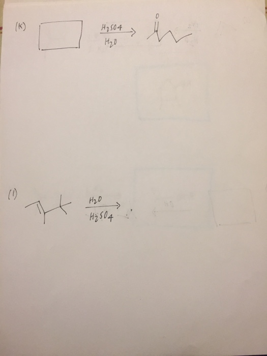 Solved Some Chemical Reactions Within Cells Break Down Chegg Com