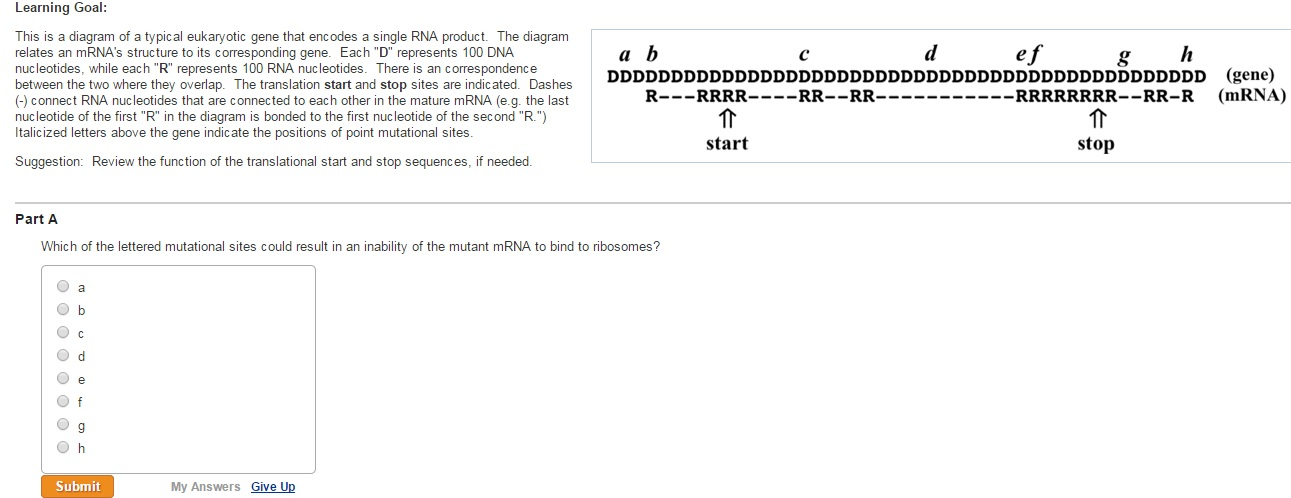Solved Mirna And Sirna Control Multiple Levels Of Gene Chegg Com