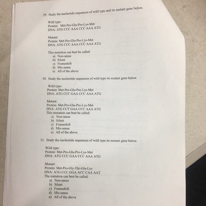 Solved 29 Study The Nucleotide Sequences Of Wild Type And Chegg Com
