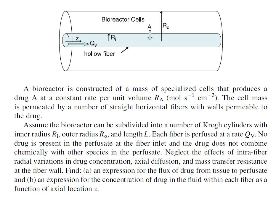 Hollow Fiber Bioreactor With Cells Grown Between The Spaces Of The