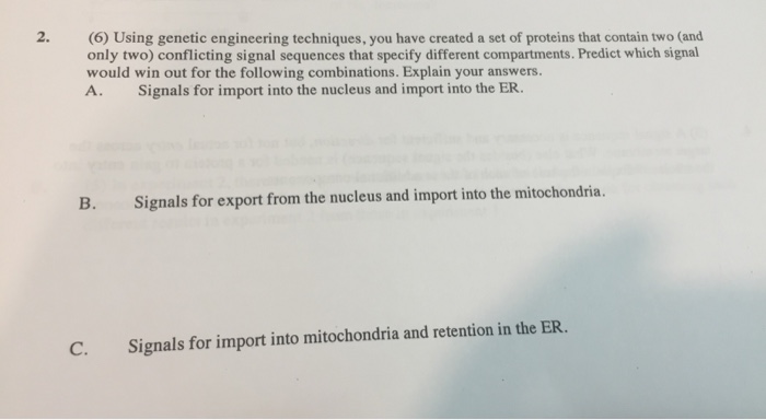 Solved O Describe Two Examples Of Genetic Engineering Used Chegg Com