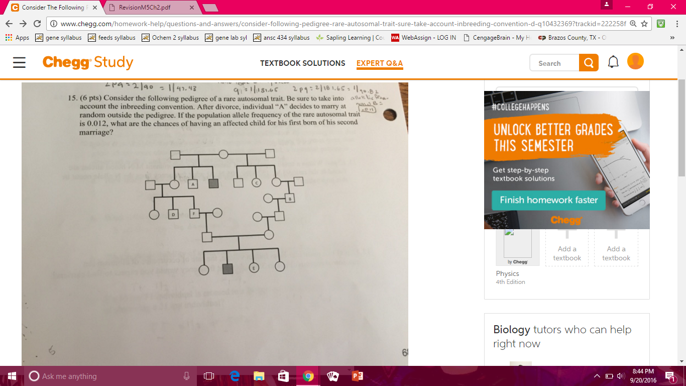 Solved Eighteen Identity Each Pedigree As Autosomal Chegg Com