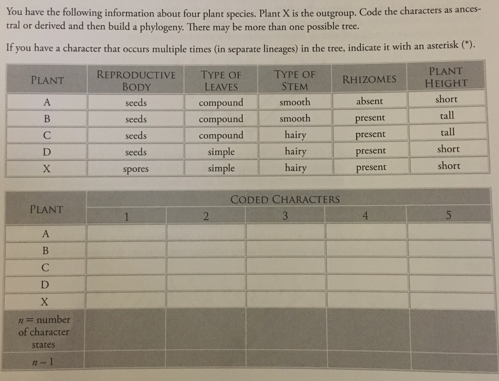 Phylogenetic Analysis Of Plant Multi Domain Sec14 Like