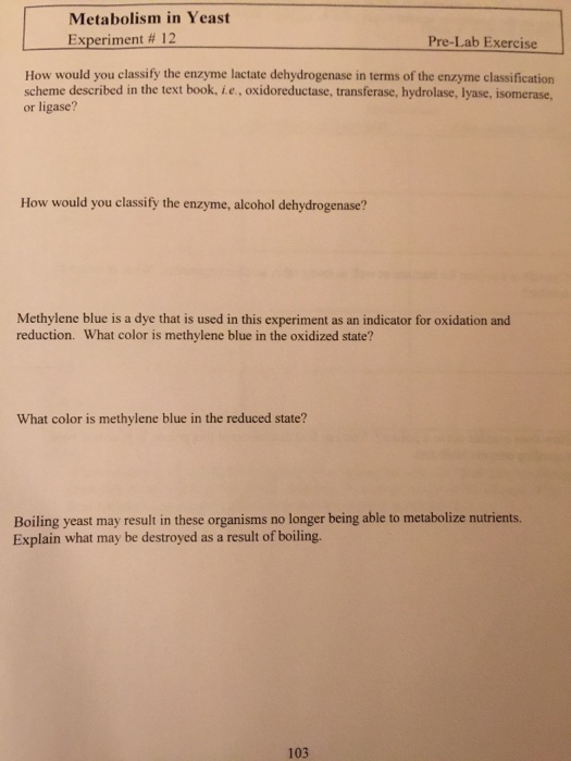 Solved In A Biochemical Process A Yeast Is Used For Chegg Com