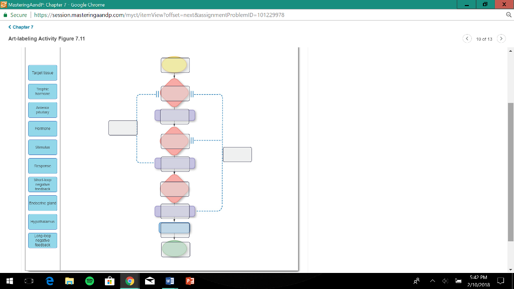Solved Drag The Labels To Sort The Effects Of Intracellular Hormone