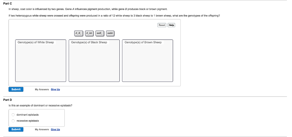 Solved Question 15 You Are An Evolutionary Biologist Chegg Com