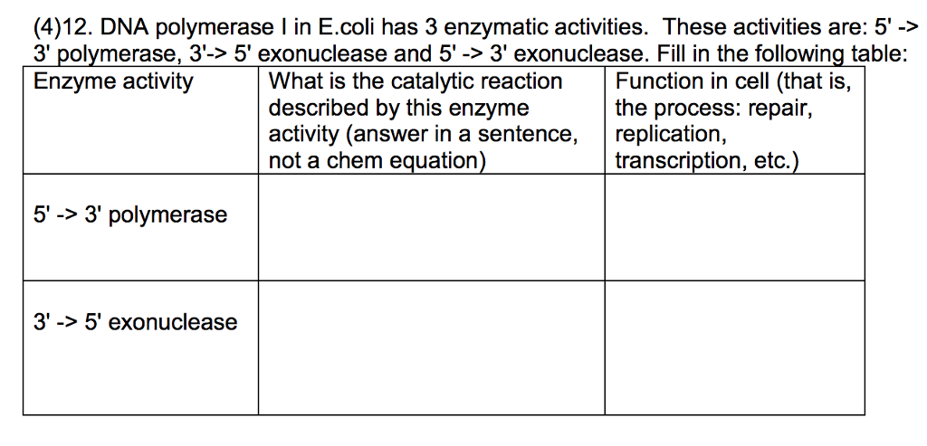 Solved Which Polymerase Does Not Have Exonuclease Activity Chegg Com