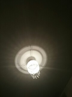 Solved Design An Experiment You Could Do To Test Your Chegg Com