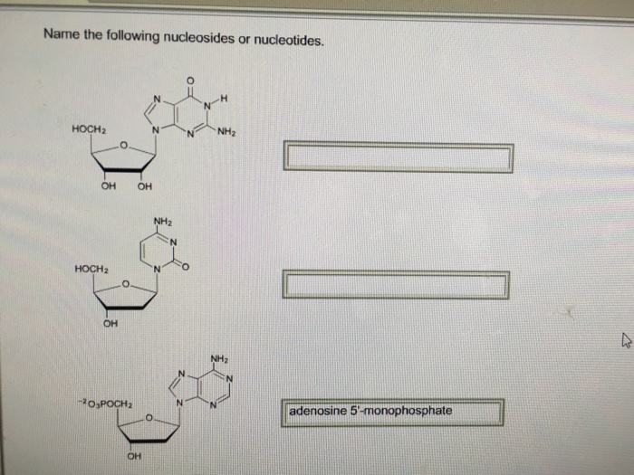 3 The Following Non Natural Nucleosides Have Been Chegg Com