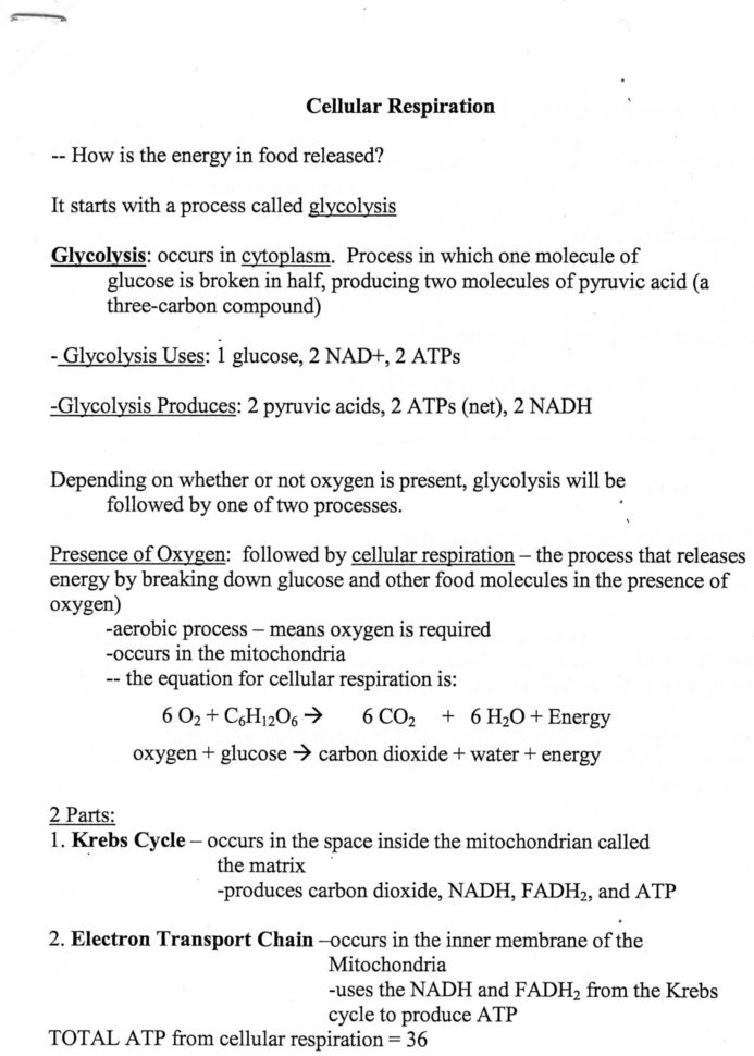 Chapter 7 Section 4 Cellular Transport