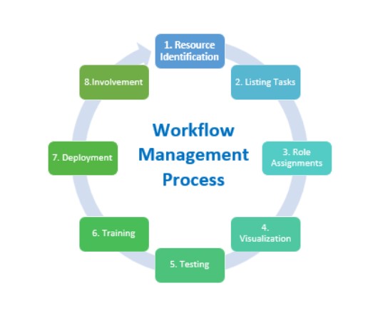 The Workflow For Cell Viability Testing Protocol Download Scientific