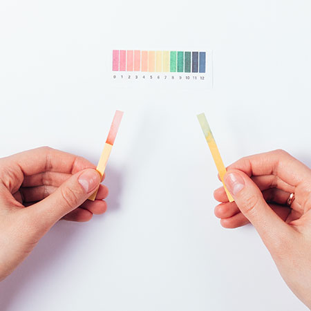 The Importance Of Ph Positivemed