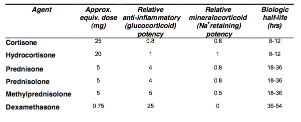 Steroid Conversion Calculator My Endo Consult