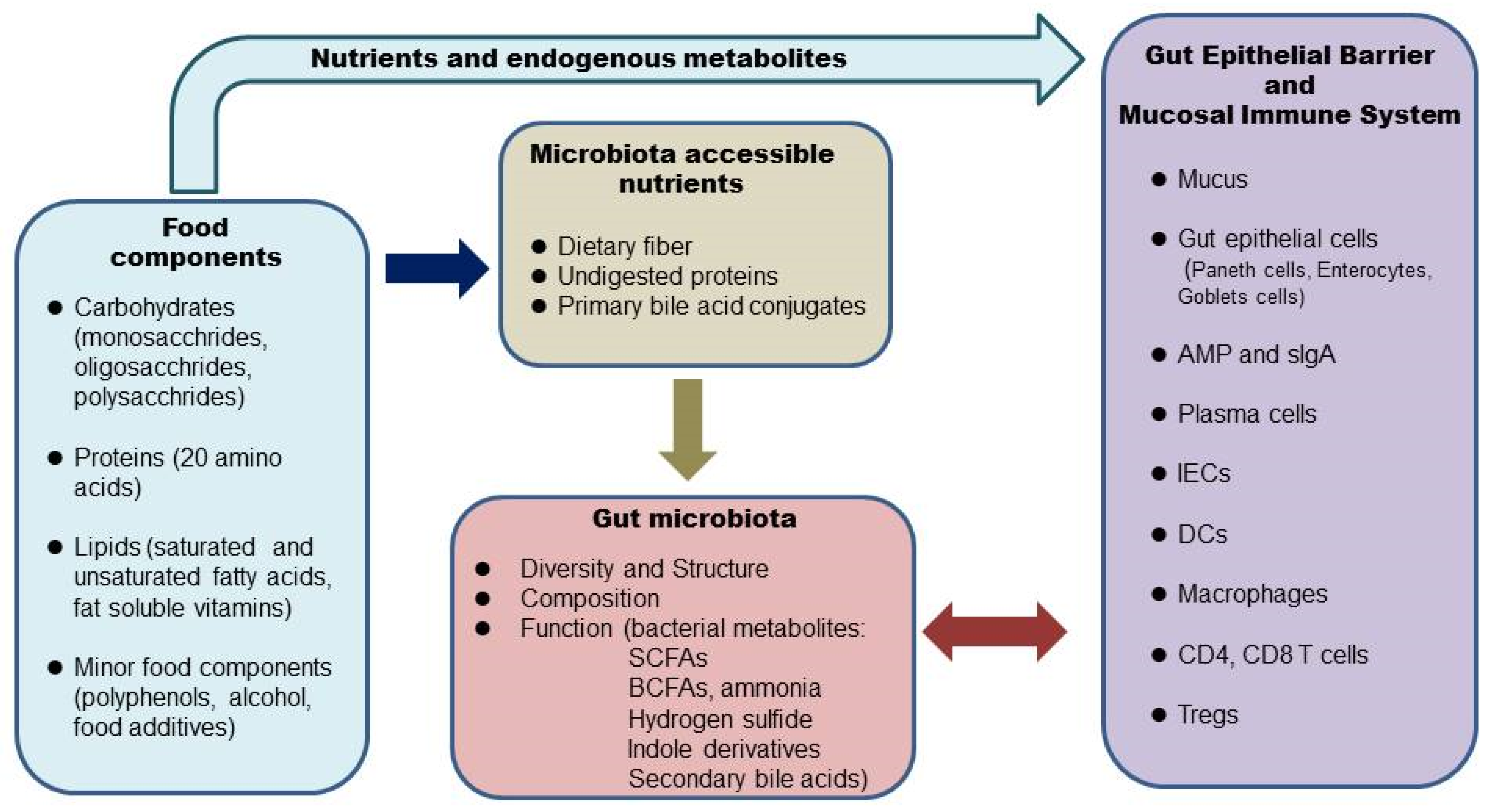 Prior Dietary Practices And Connections To A Human Gut Microbial
