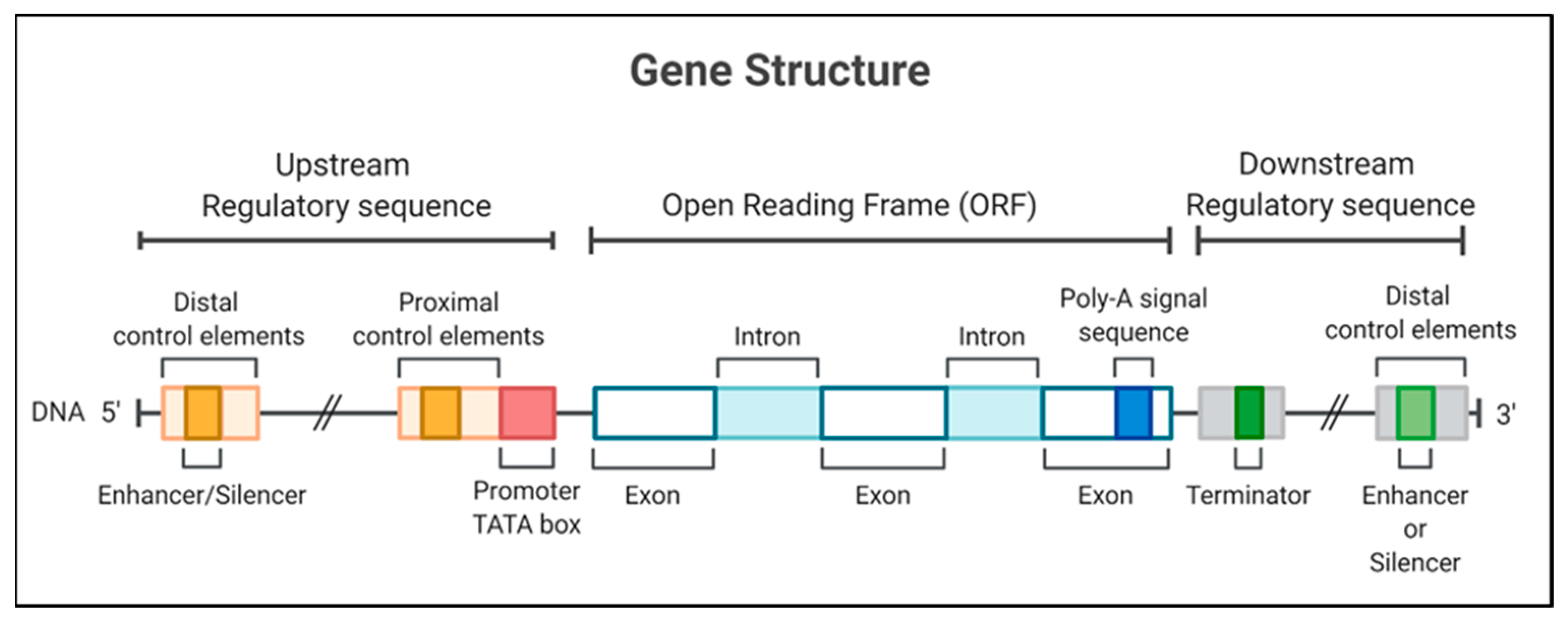 Gene Expression Levels At Different Sequencing Depths Quantification