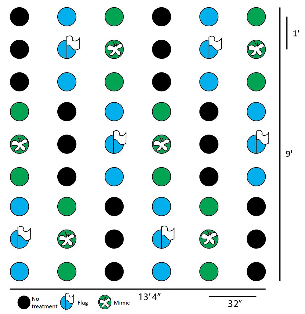 Experiment Window Example Download Scientific Diagram