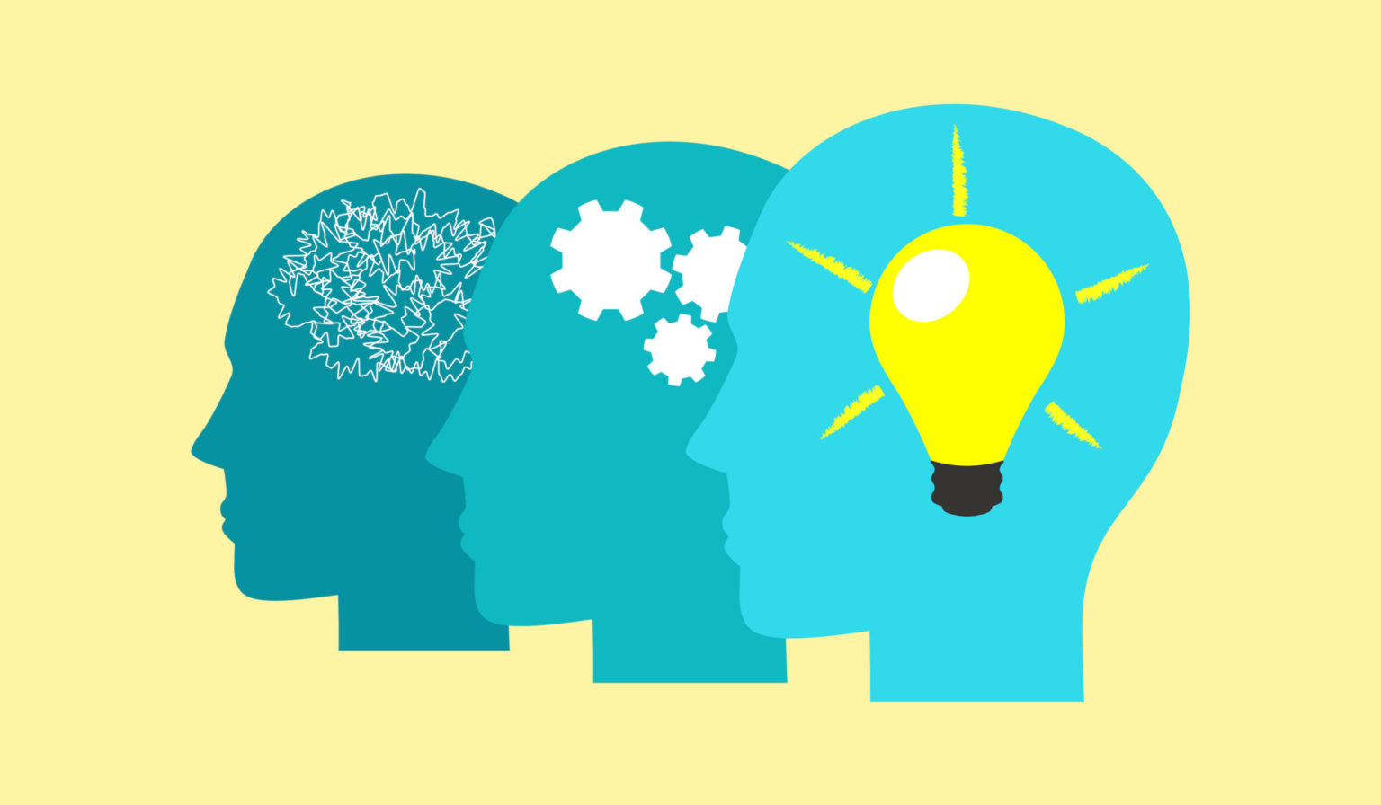 Understanding Mouse Genetics Patterns Of Inheritance And Fur Course Hero