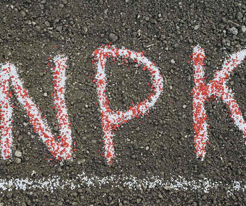 Relative Yield Difference Between Digestate And Npk Fertilization On