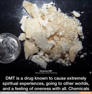 Dmt Maximum Rocknroll