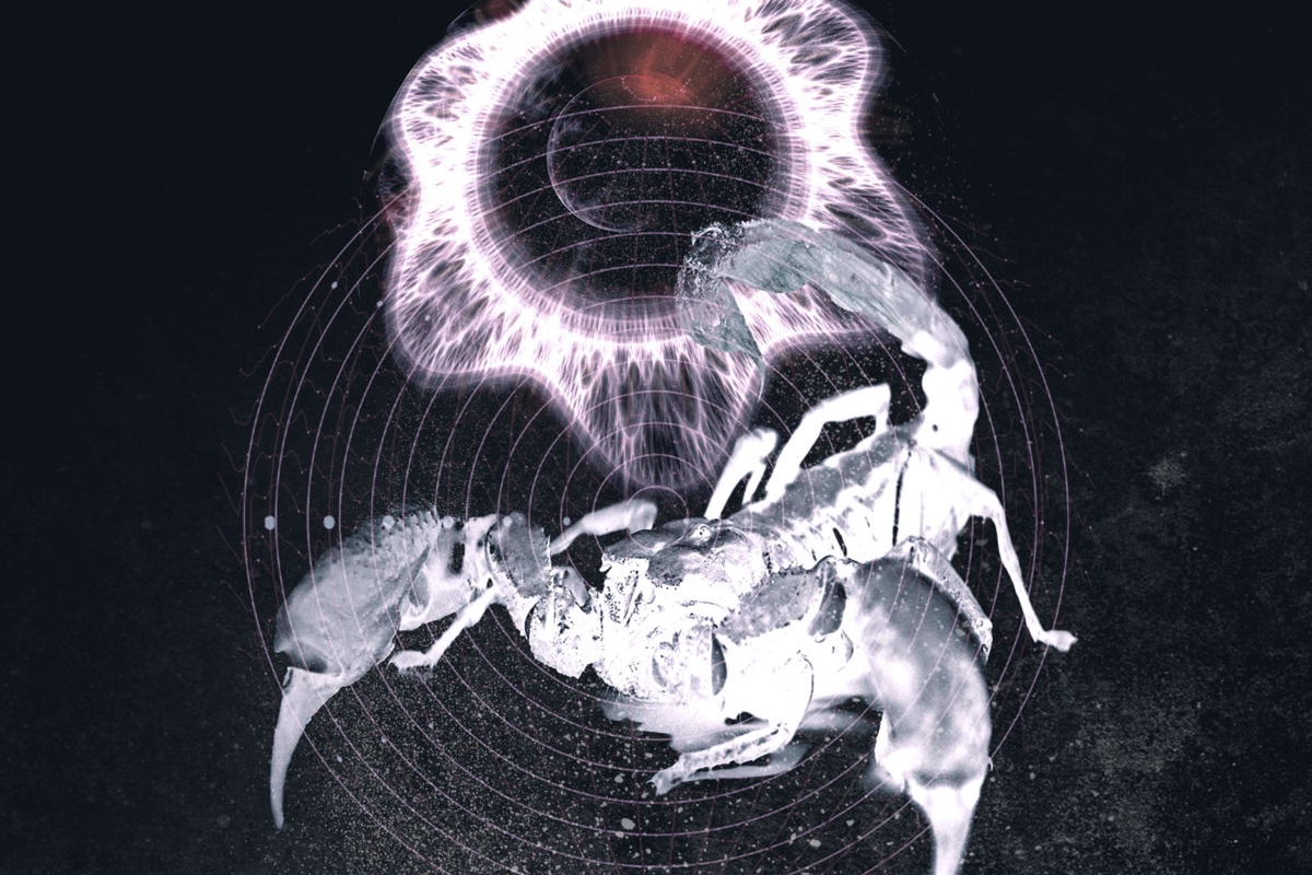 How Much Does Bandcamp Pay Per 1 Track Rmusicians