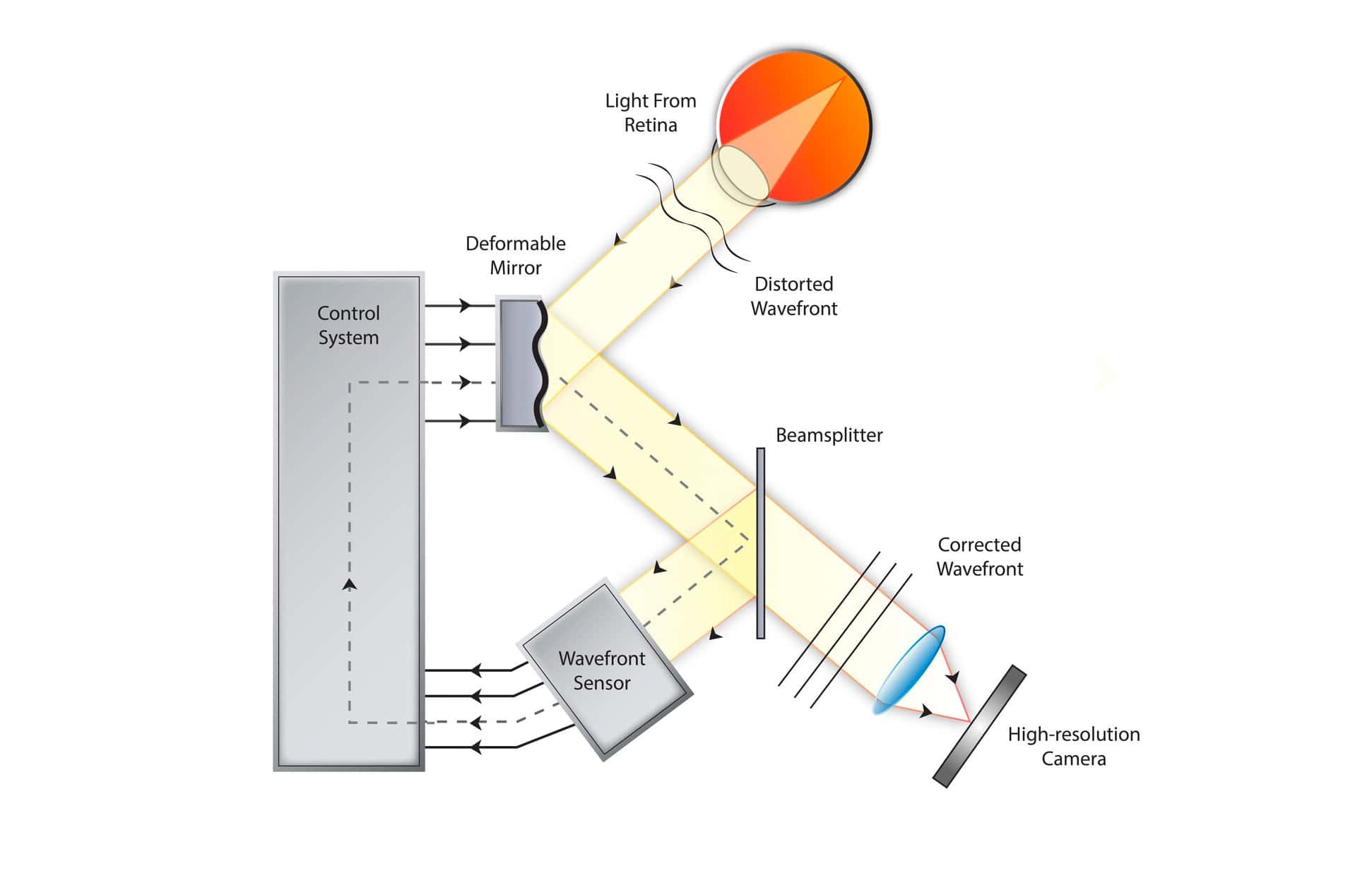 Pdf Design Of Adaptive Optics By Interference Fitting Theoretical