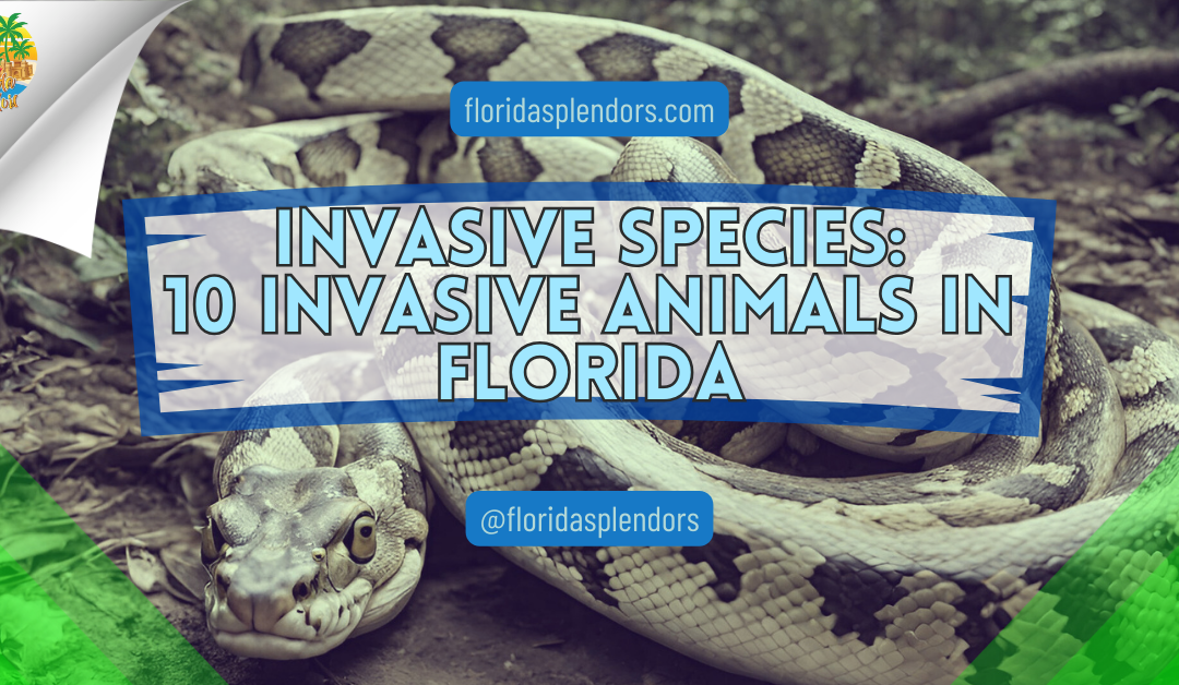 Invasive Species In Florida Facts
