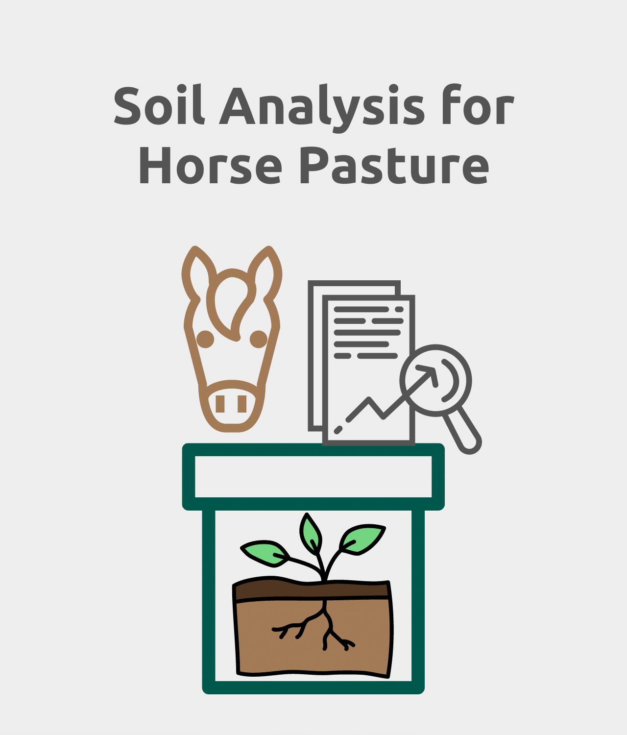 Assessing The Pasture Soil Resource Pdf