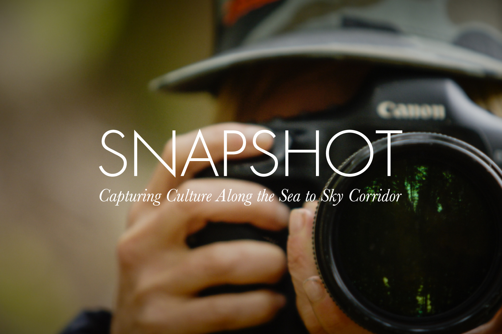 A Snapshot Of The Year