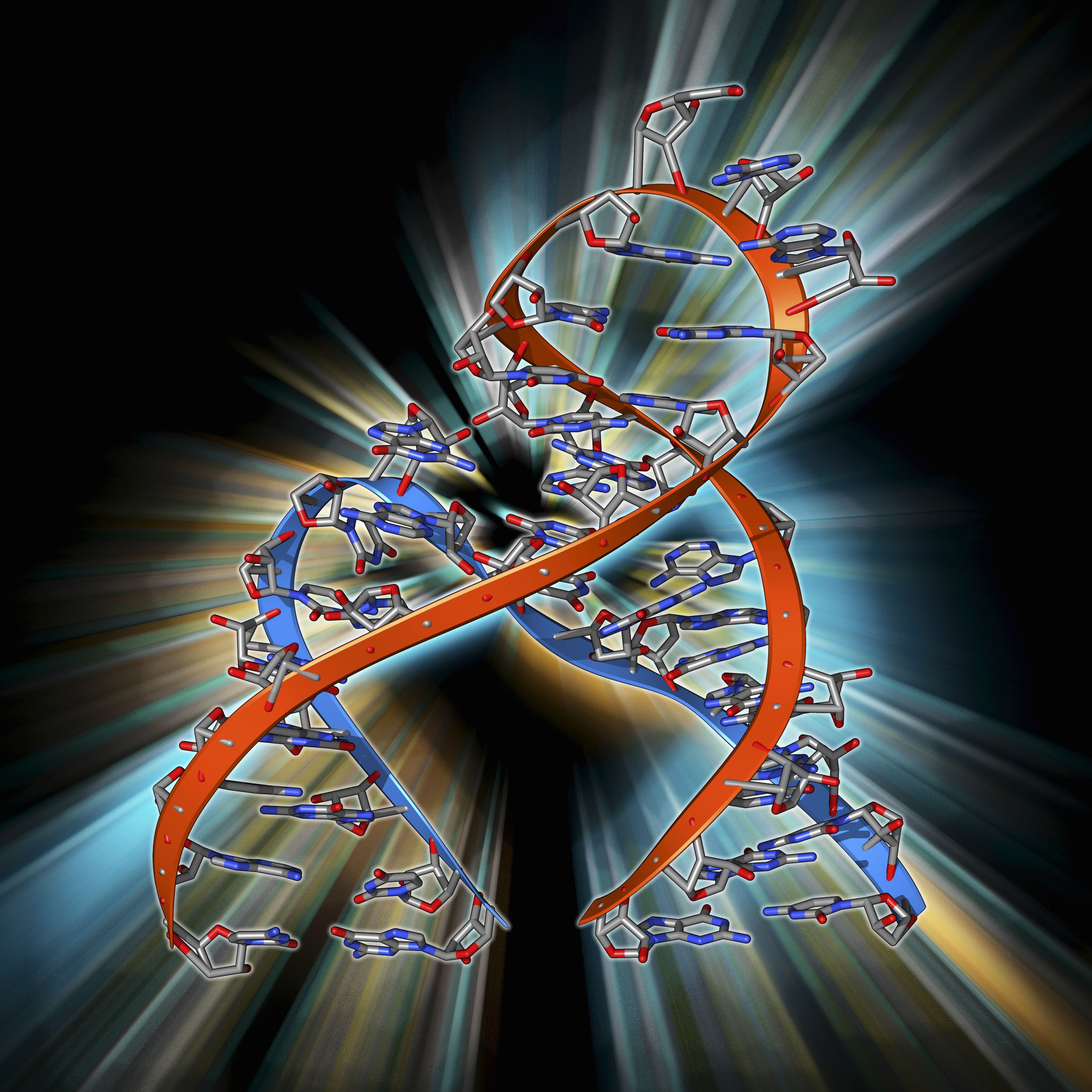 Rna Helicase P68 Regulates Tau Exon 10 Inclusion A And B The
