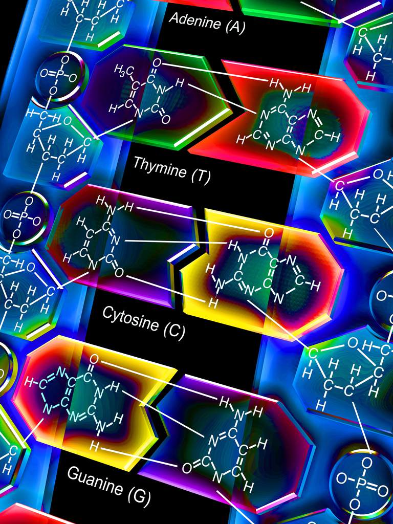 Dna And Rna Molecules Stock Photo Alamy