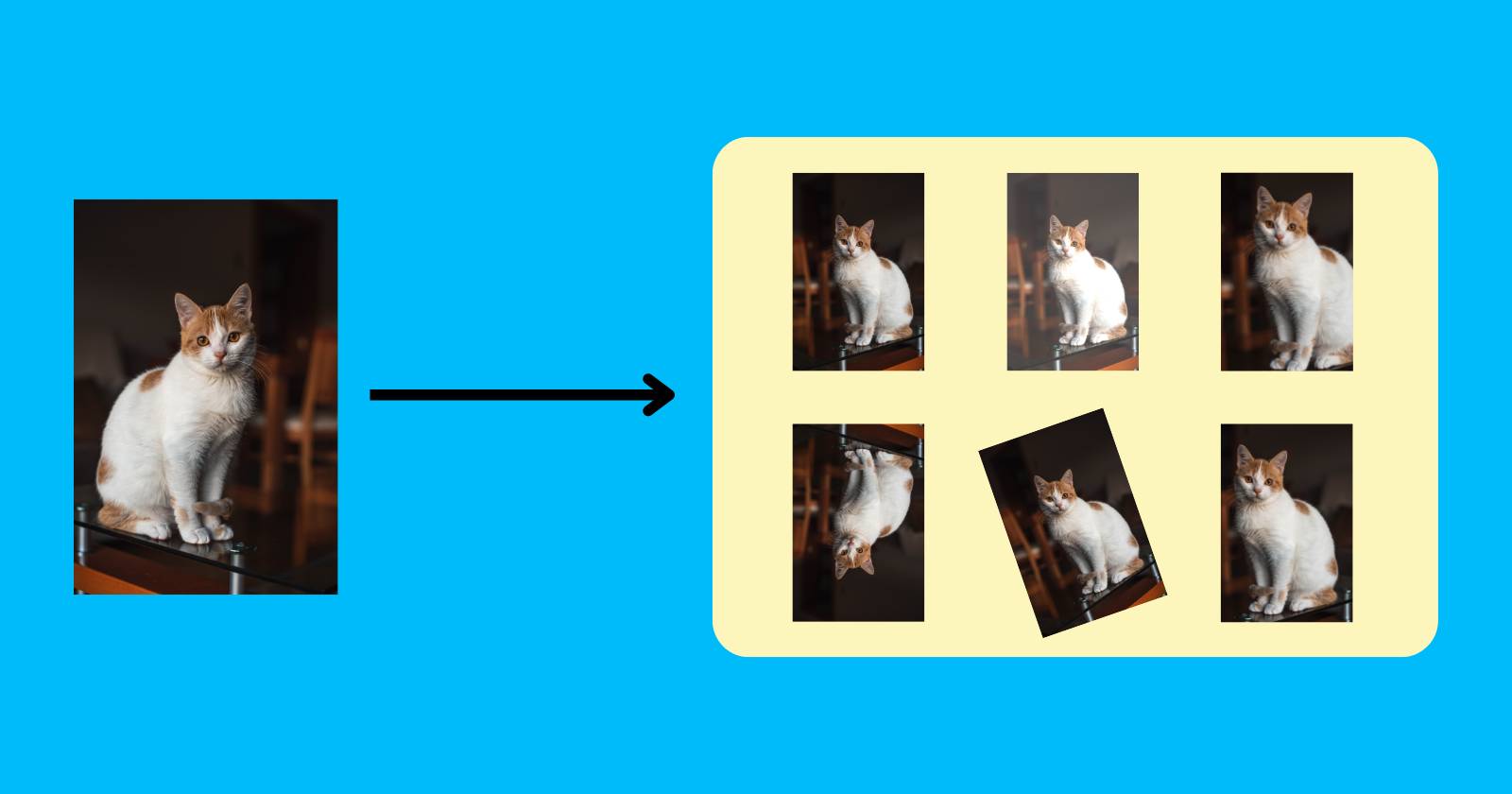 Data Augmentation To Address Overfitting Deep Learning Tutorial
