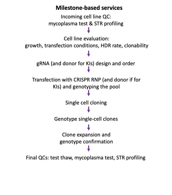 Raav Mediated Insertion The Genome Engineering Stem Cell Center